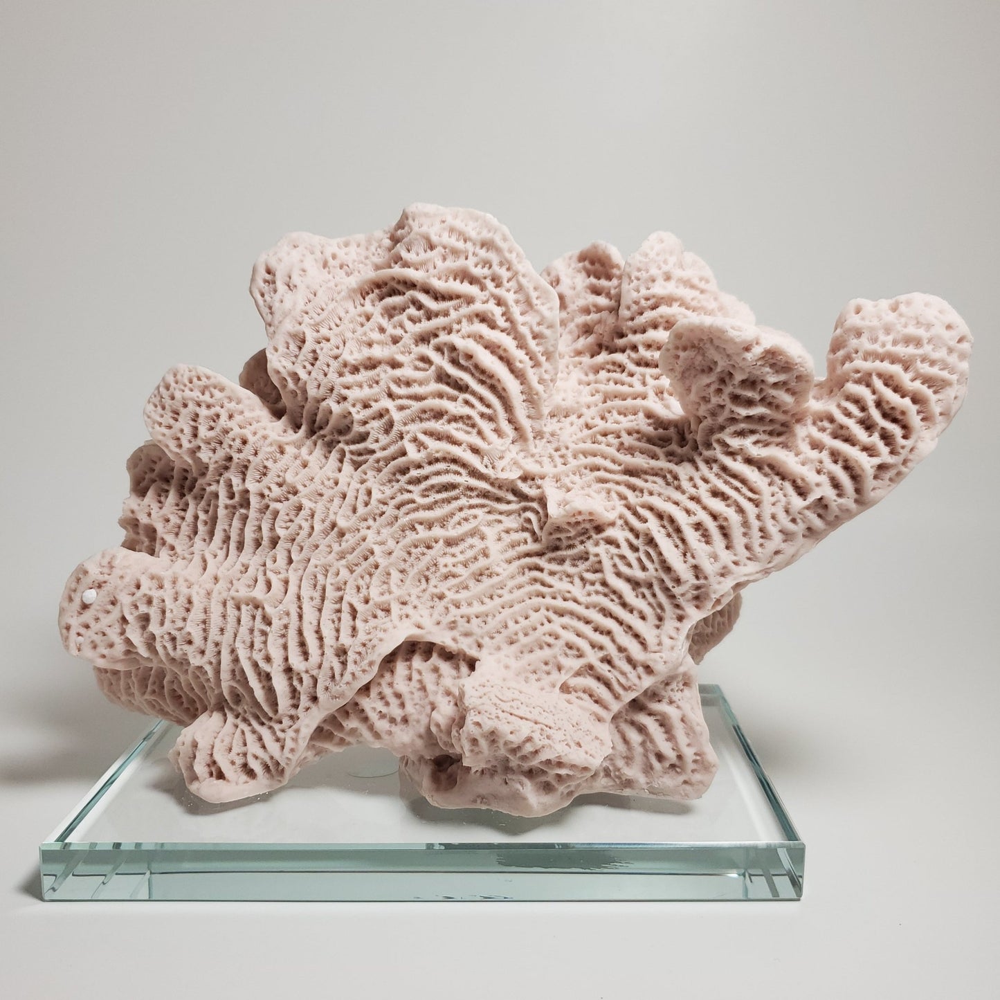 Blush pink coral accent decor - Tamayne's Decor & Events