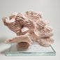 Blush pink coral accent decor - Tamayne's Decor & Events
